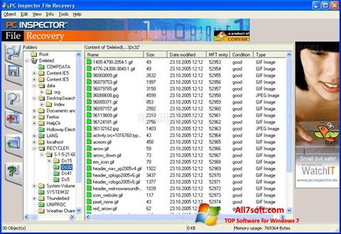 لقطة شاشة PC Inspector File Recovery لنظام التشغيل Windows 7