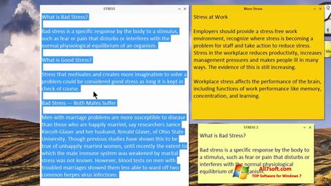 لقطة شاشة Simple Sticky Notes لنظام التشغيل Windows 7